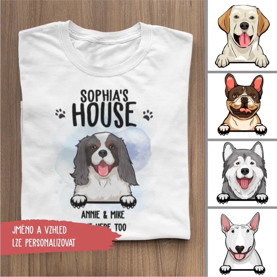 Dog House