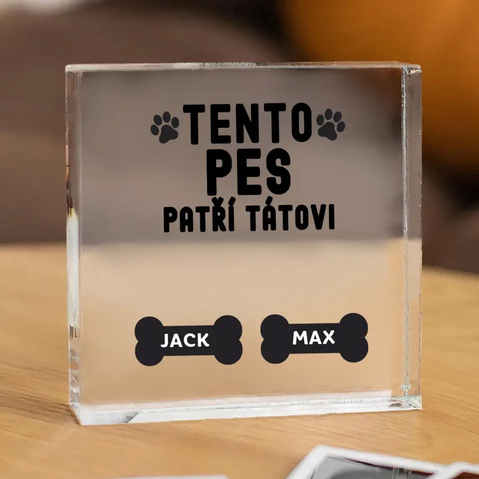 TENTO PES PATŘÍ TÁTOVI