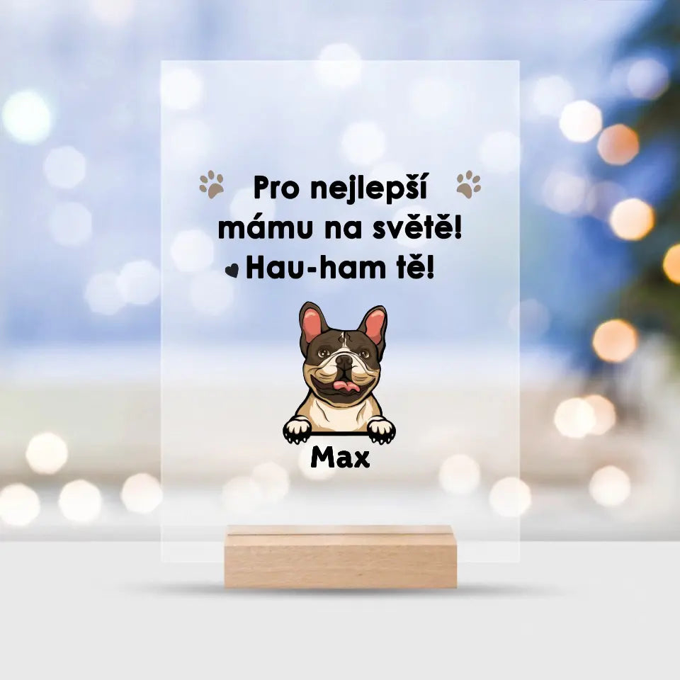 Pro nejlepší maminku na světě!