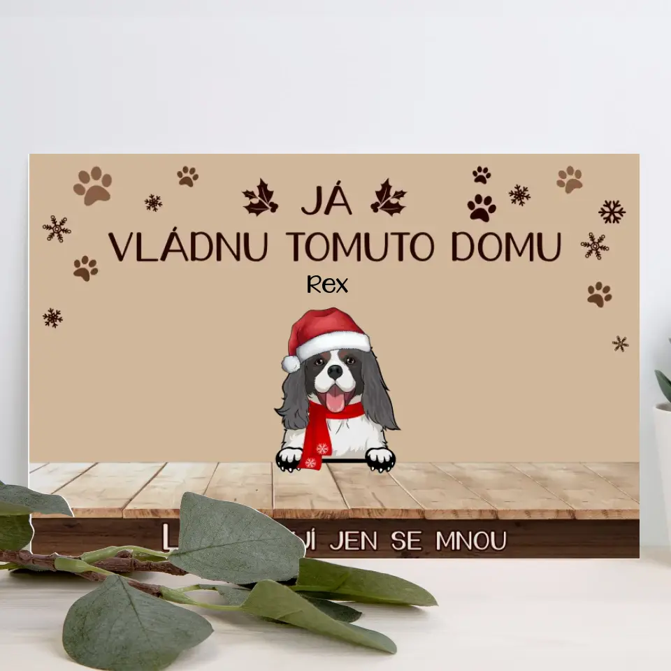 Já vládnu TOMUTO DOMU. Lidé tu žijí jen se mnou.