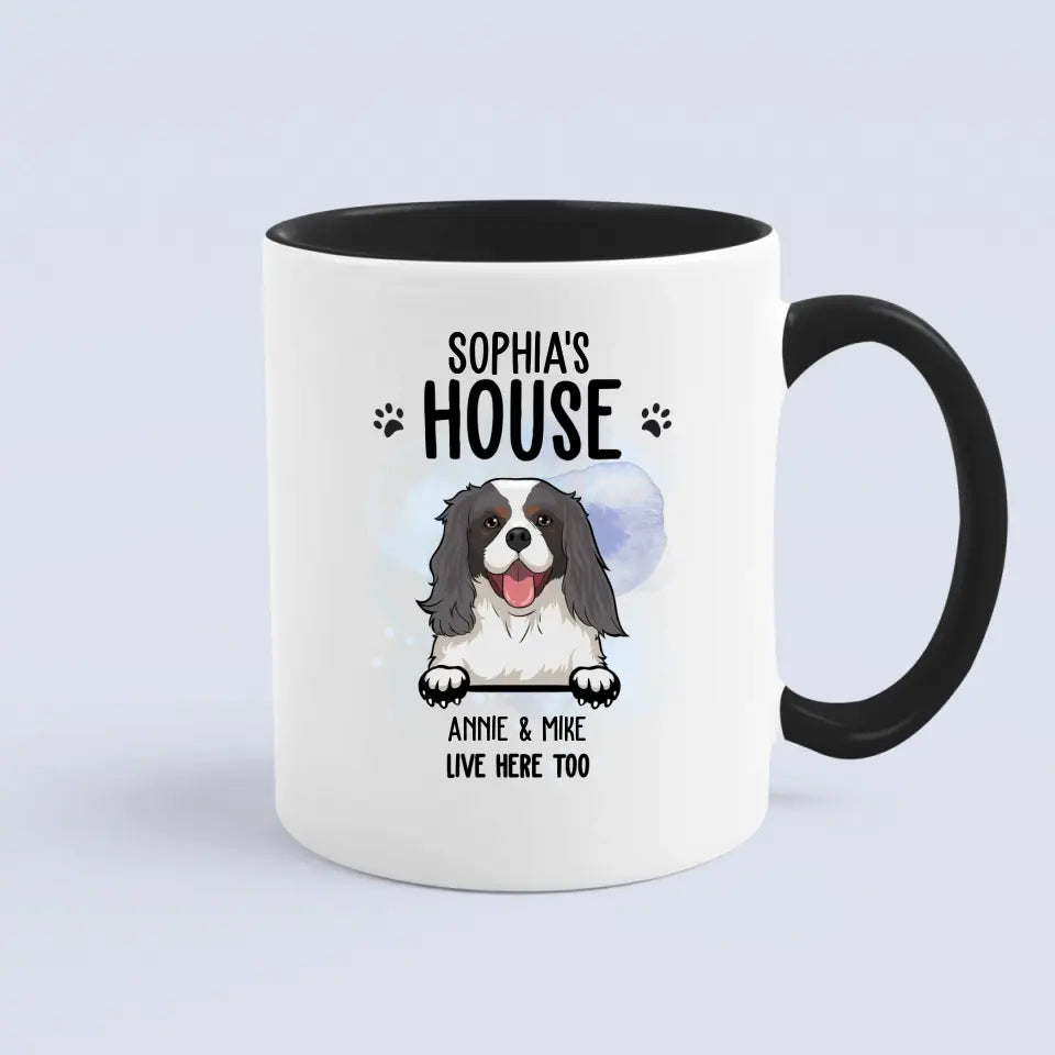 Dog House