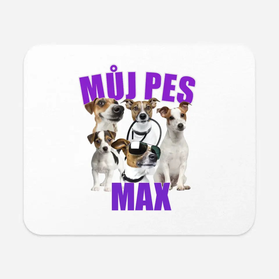 Můj pes