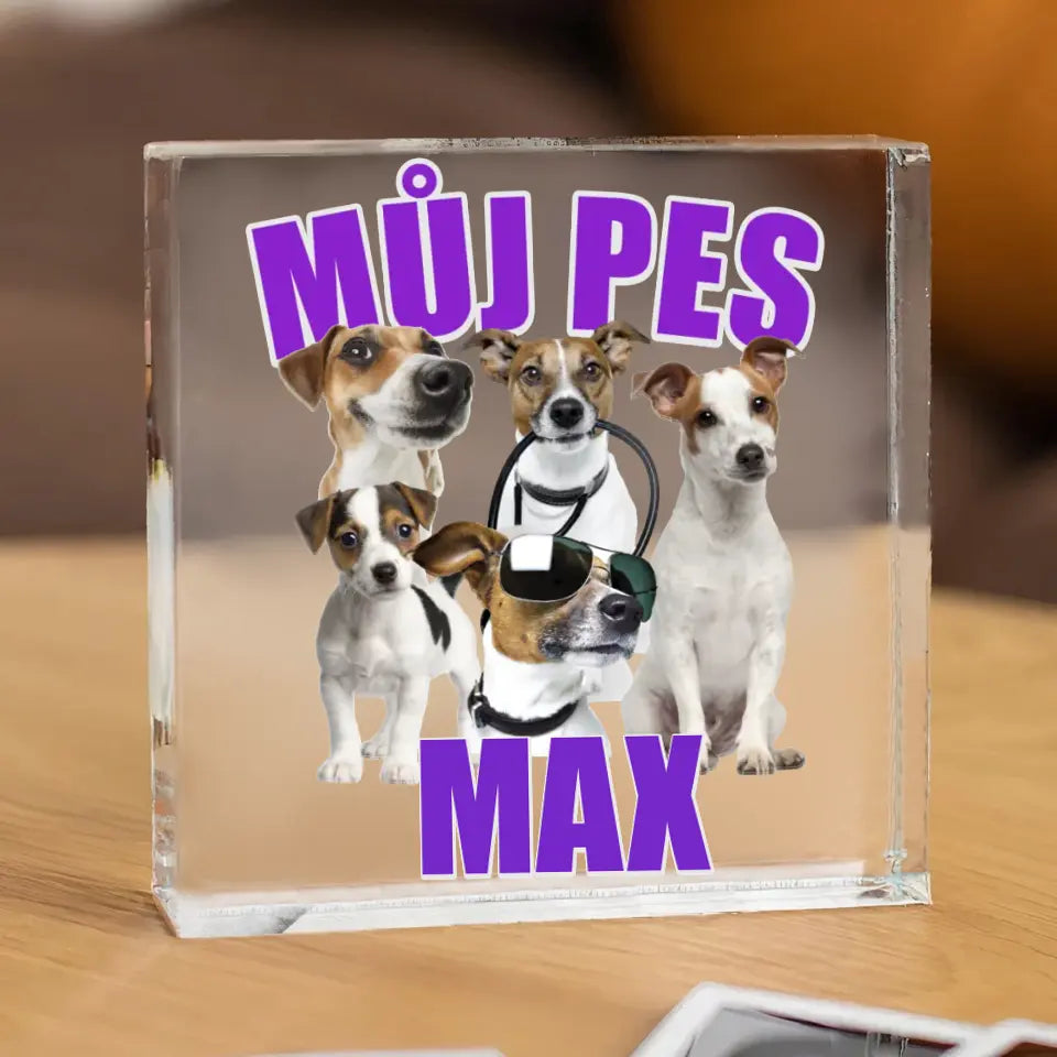 Můj pes