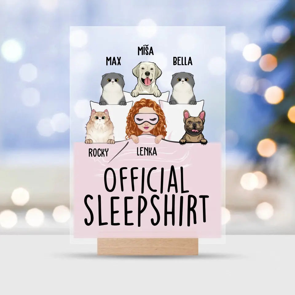 Official sleepshirt