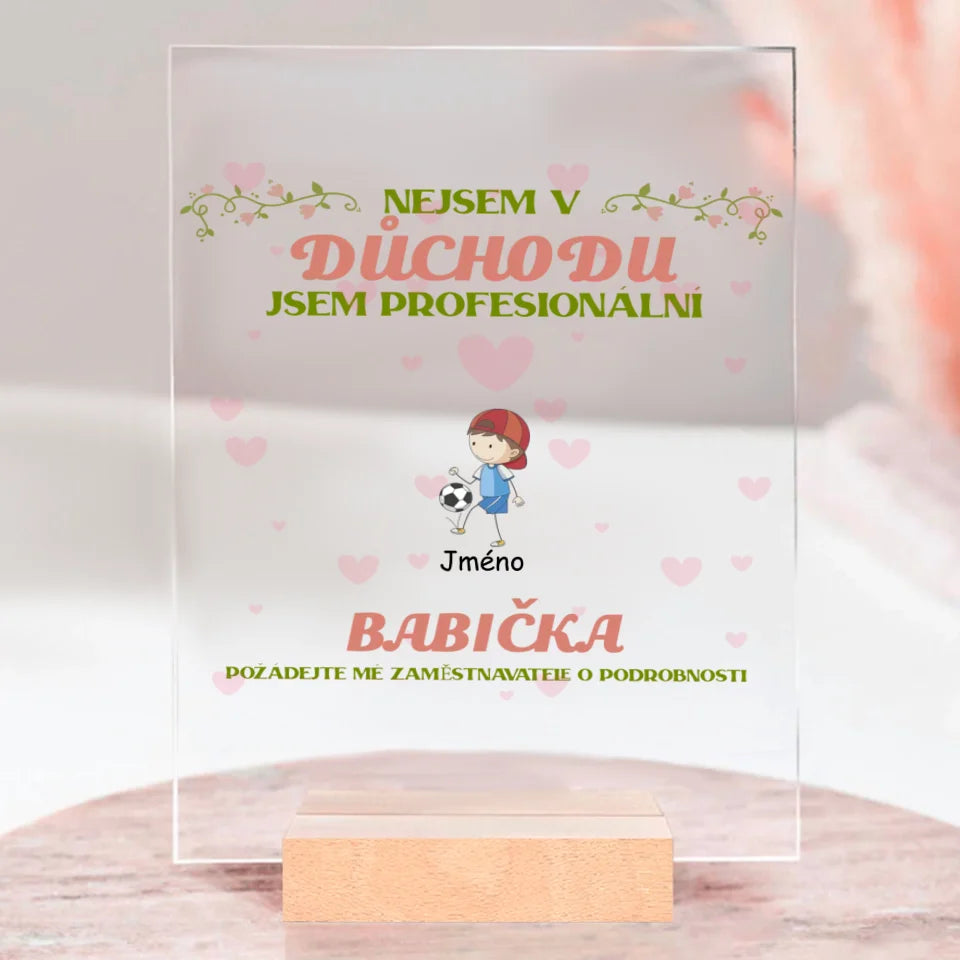 Povlak na polštář - NEJSEM V DŮCHODU, JSEM PROFESIONÁLNÍ BABIČKA