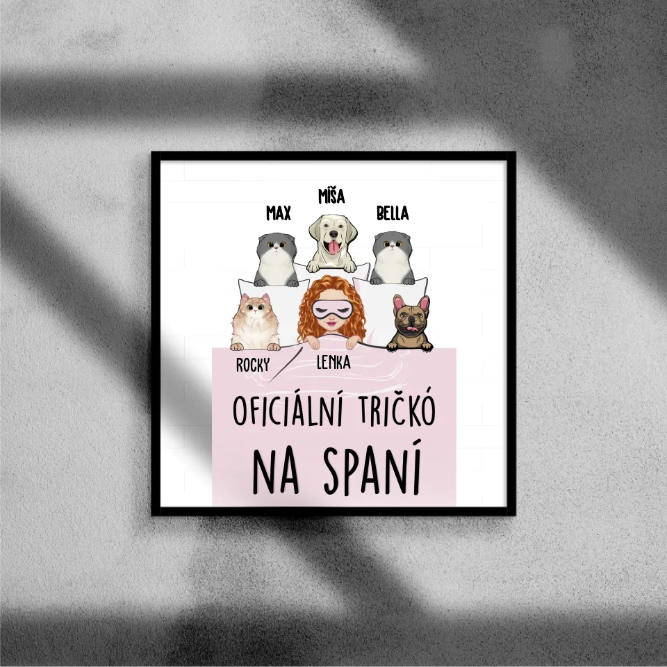 Oficiální tričko na spaní